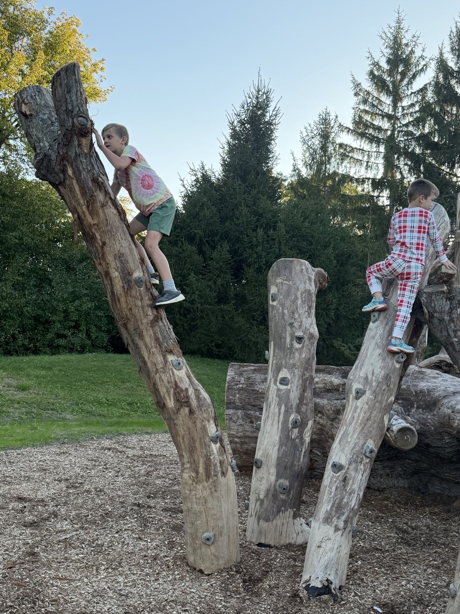 Kids playing on natural playground