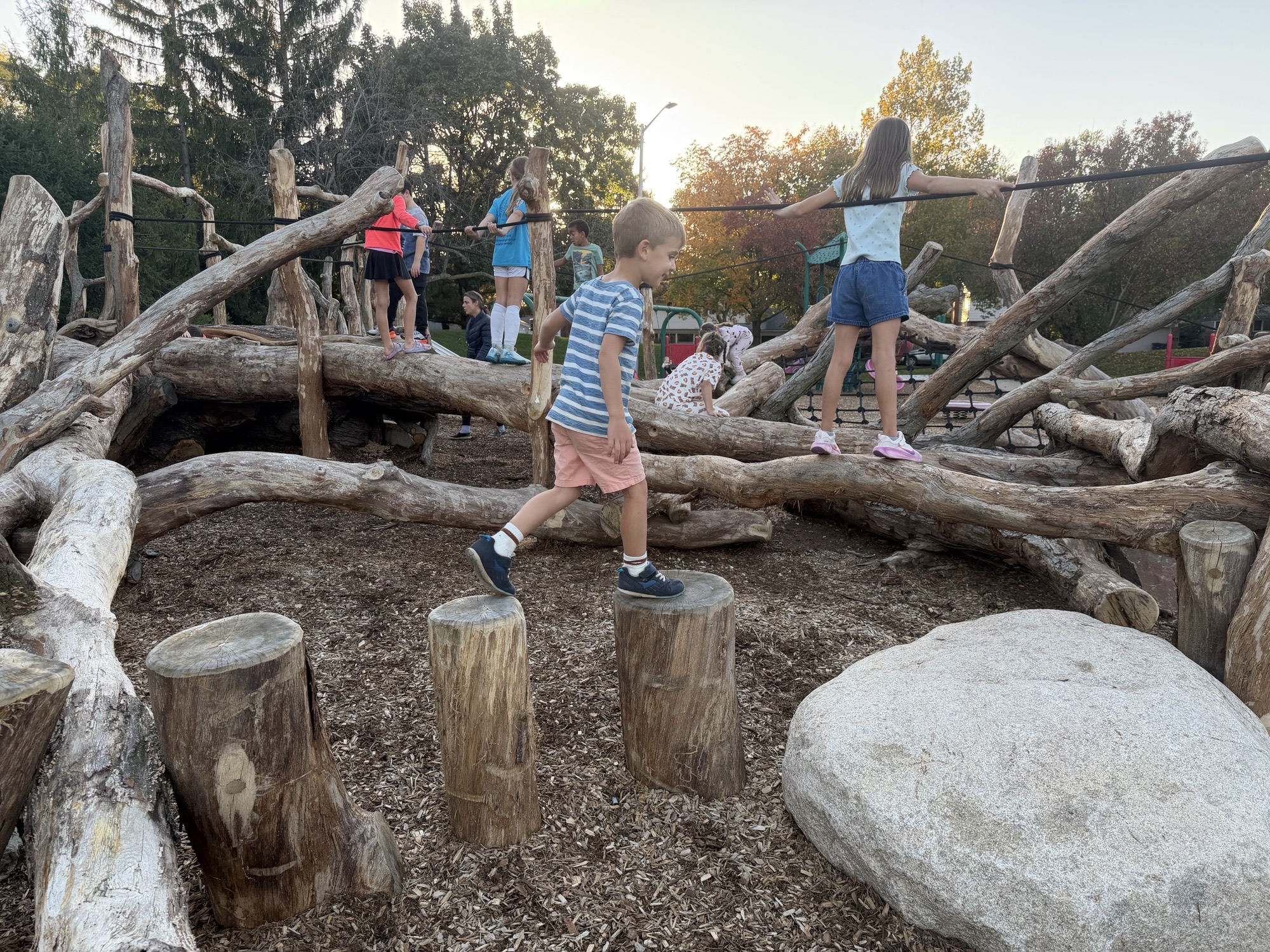 Kids playing on natural playground
