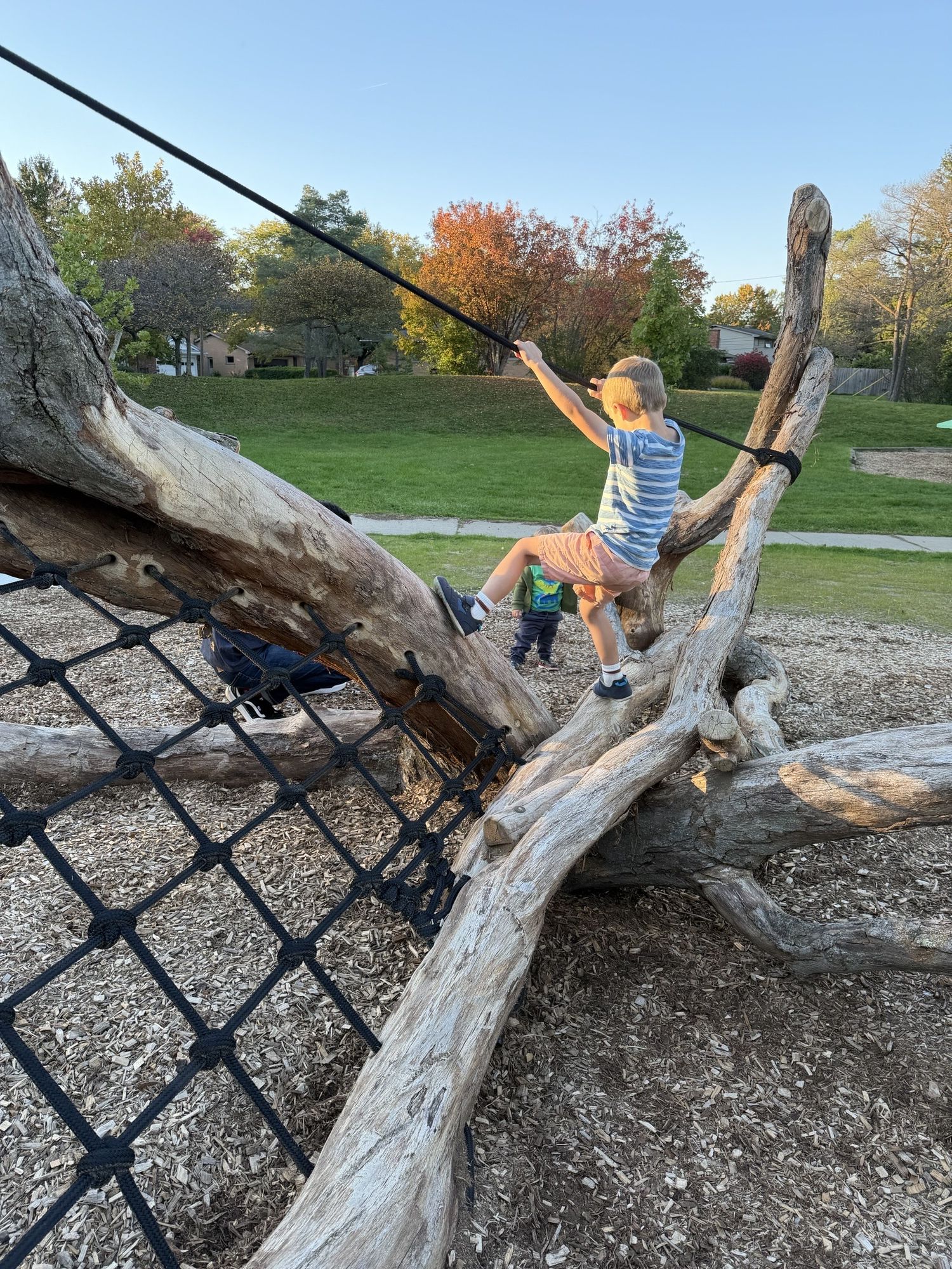 Kids playing on natural playground