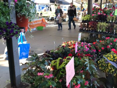 flower vendors